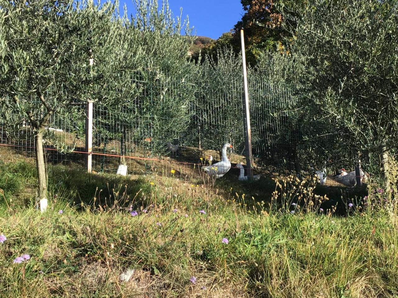 Agriturismo Al Robale Almenno San Bartolomeo ภายนอก รูปภาพ